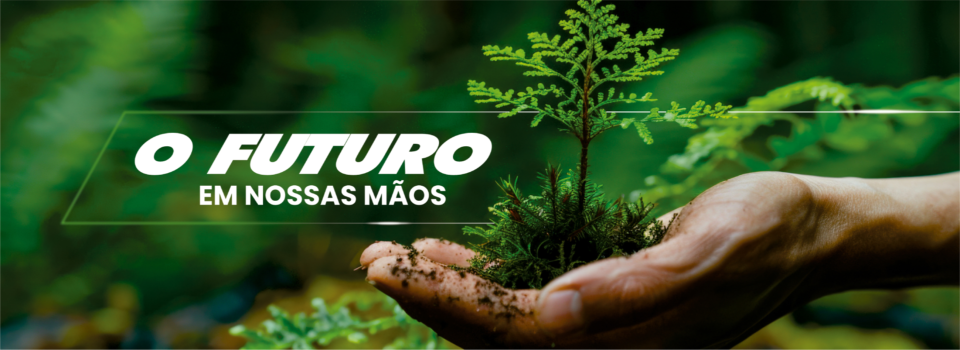 O futuro e nossas mãos